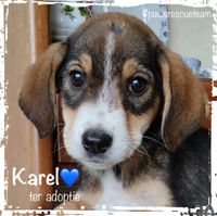 Karel prof