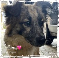 Gina FB