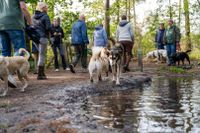 wandeling-2024-okt-83